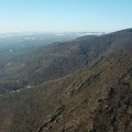 DJI 0038