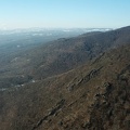 DJI 0037