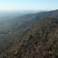 DJI 0036