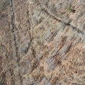 DJI 0024