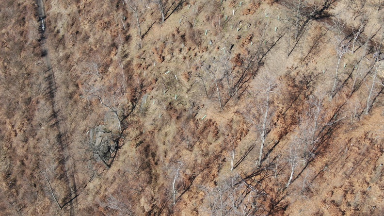 DJI_0023.JPG