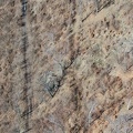DJI 0022