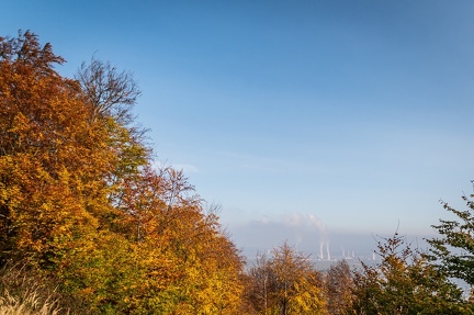 202 10 25 buciny tykac 2400px zewlakk-4850