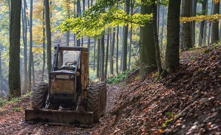 202 10 25 buciny tykac 2400px zewlakk-4866