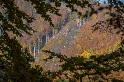 202 10 25 buciny tykac 2400px zewlakk-4867