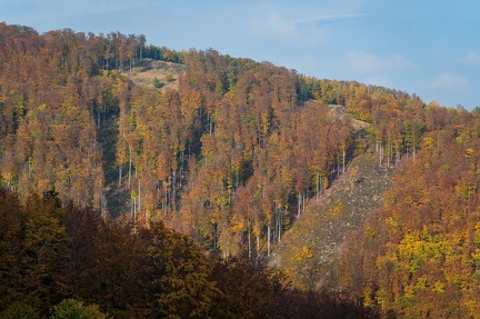 202 10 25 buciny tykac 2400px zewlakk-4869