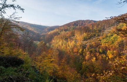 202 10 25 buciny tykac 2400px zewlakk-4875