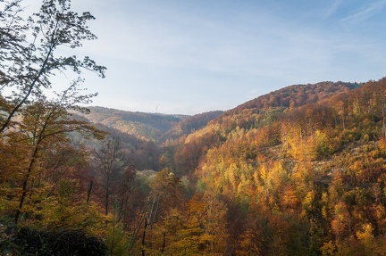 202 10 25 buciny tykac 2400px zewlakk-4876