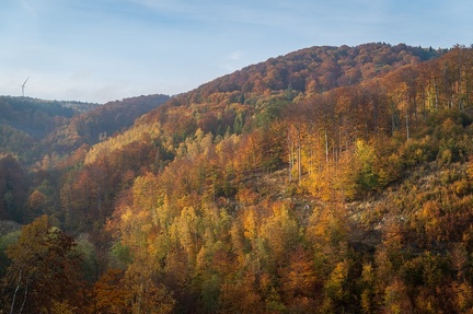 202 10 25 buciny tykac 2400px zewlakk-4878