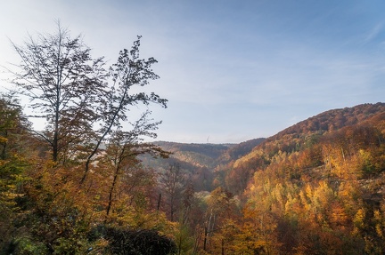 202 10 25 buciny tykac 2400px zewlakk-4879