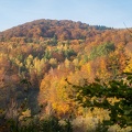 202 10 25 buciny tykac 2400px zewlakk-4882