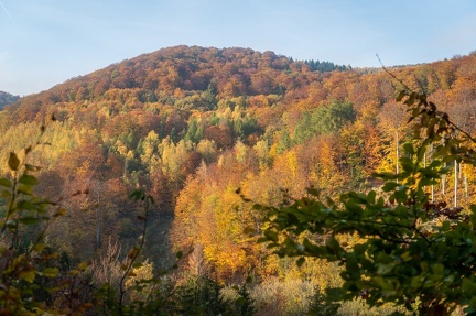 202 10 25 buciny tykac 2400px zewlakk-4882