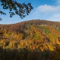 202 10 25 buciny tykac 2400px zewlakk-4883