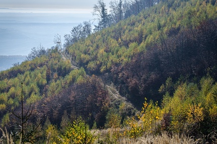2020 11 06 krusne hory jezeri zewlakk-7898