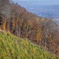 2020 11 06 krusne hory jezeri zewlakk-7922