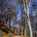 2020 11 06 krusne hory jezeri zewlakk-8021