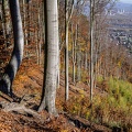 2020 11 06 krusne hory jezeri zewlakk-8057