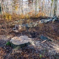 2020 11 06 krusne hory jezeri zewlakk-8061