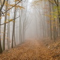 2020 11 06 krusne hory jezeri zewlakk-8170
