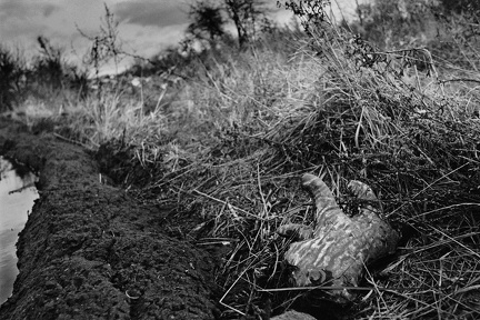 EF 0733 C3 7 2x3 WEBMAX