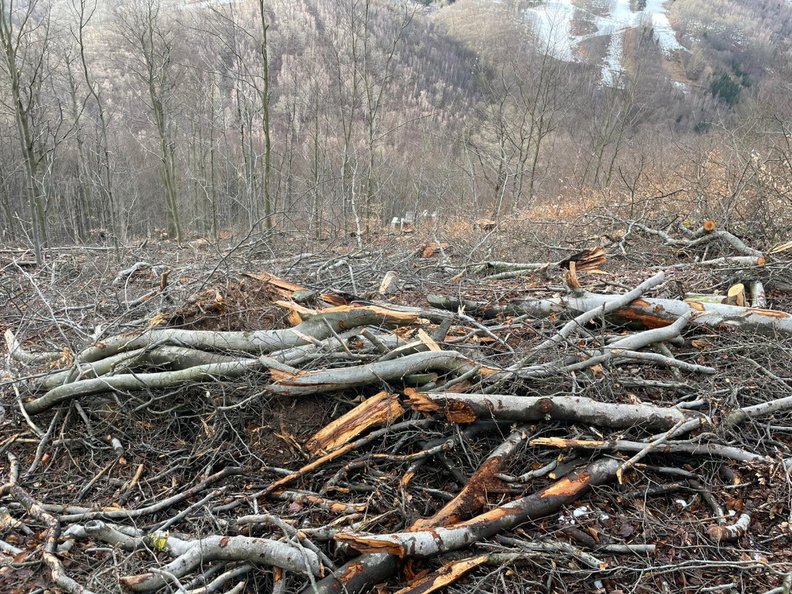 87e99c26-b107-430b-8ea5-3a4877fec172 (3).jpg