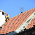 20121010 GREENPEACE 020