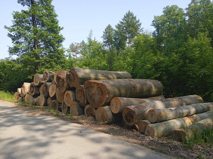 převezené klády do Snovídek