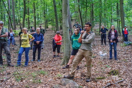 DSC 9931 IBRA PRESS A4