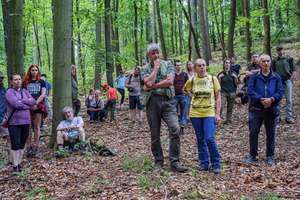 DSC 9937 IBRA PRESS A4