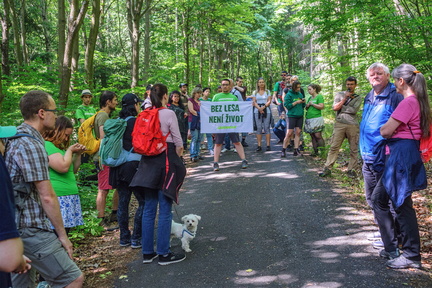 DSC 9996 IBRA PRESS A4