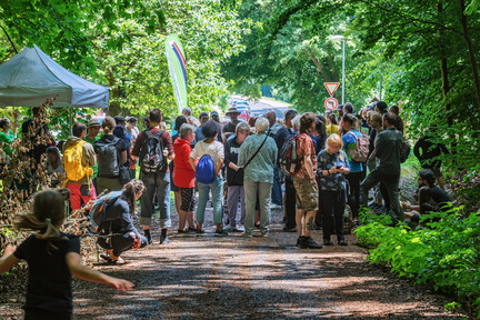 DSB 8008 IBRA PRESS A4