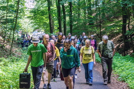 DSB 8040 IBRA PRESS A4