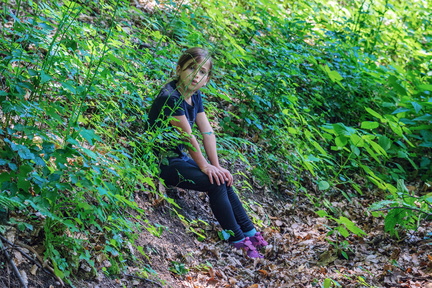 DSB 8071 IBRA PRESS A4