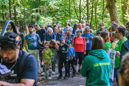 DSB 8087 IBRA PRESS A4