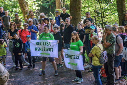 DSB 8108 IBRA PRESS A4