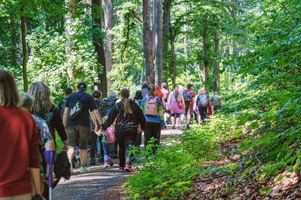 DSB 8132 IBRA PRESS A4