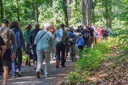 DSB 8147 IBRA PRESS A4