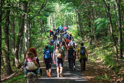 DSB 8479 IBRA PRESS A4