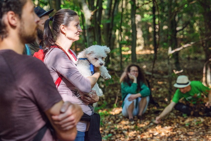 DSB 8657 IBRA PRESS A4