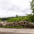 MAJS9485