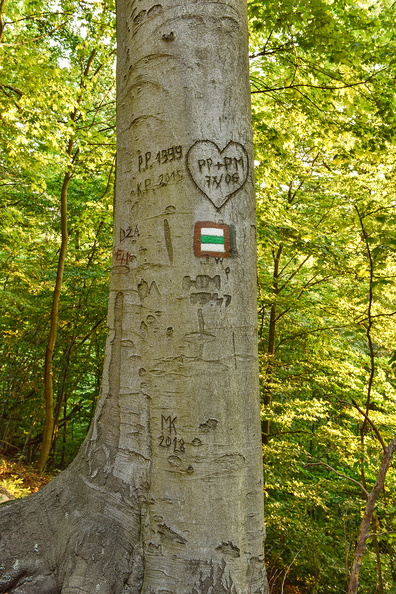 _DSC9866_IBRA_NET.jpg