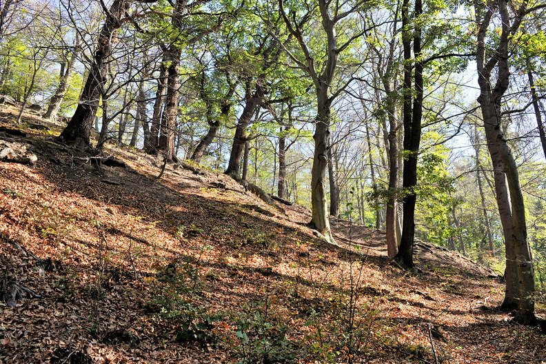 HD 010_DSC1168_IBRA_NET_JPG 08.jpg