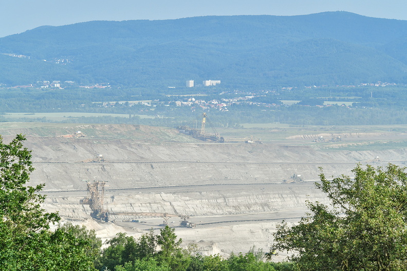 DSC_0542_IBRA_NET.jpg