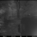 LS1771000501