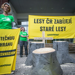 Protest před sídlem Lesy ČR - 4.10.2023