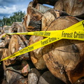 Akce Chomutov Greenpeace (7 of 17)