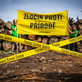 Akce Chomutov Greenpeace (8 of 17)