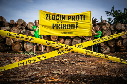 Akce Chomutov Greenpeace (8 of 17)