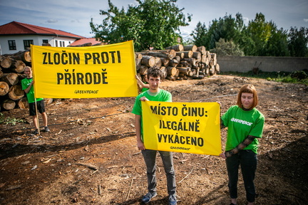 Akce Chomutov Greenpeace (12 of 17)