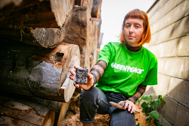 Akce_Chomutov_Greenpeace (14 of 17).jpg